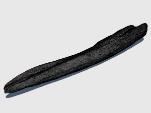 woodchuck 3D Модель