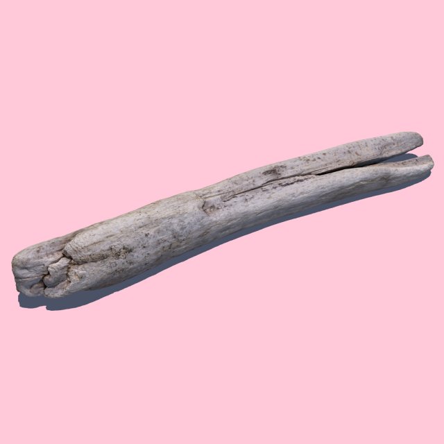woodchuck 3D Модель .c4d .max .obj .3ds .fbx .stl .blend 