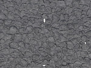 stone wall 3Dモデル