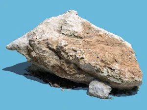 Kamień Oliver Model 3D