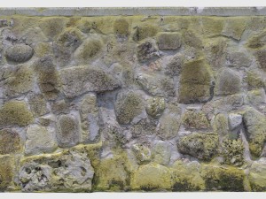 mossy stone wall 3D Model