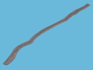long crack in asphalt 3D मॉडल