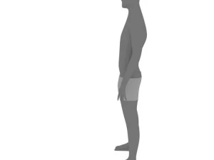 base mesh character free 3D Model