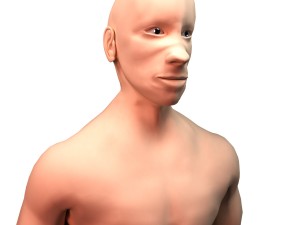 base character free Model 3D
