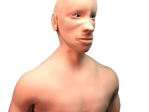 base character free 3D Model
