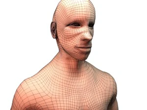 base character free 3D Model