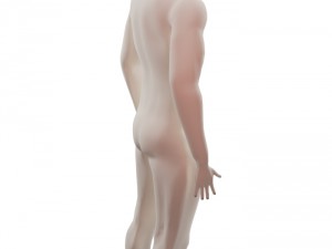 base character free Model 3D