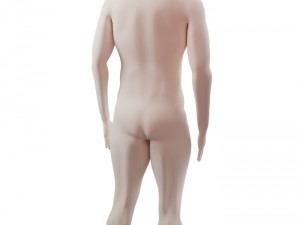 base character free Model 3D