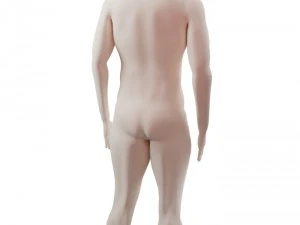 base character free 3D Model