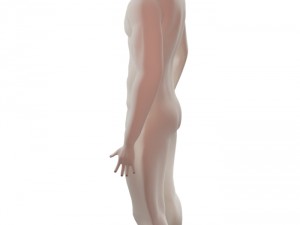 base character free Model 3D