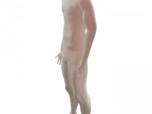 base character free 3D Model