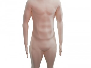 base character free Model 3D