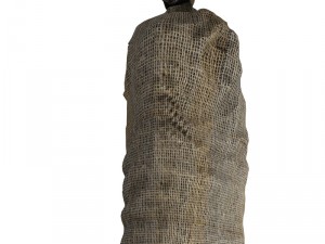 sandbag 3D Model