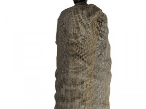 saco terrero Modelo 3D