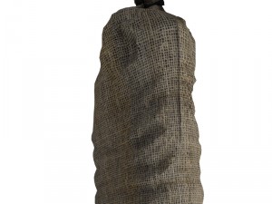 sandbag 3D Model