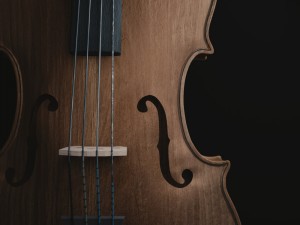 cello Modèle 3D