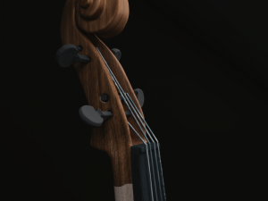 cello Modello 3D