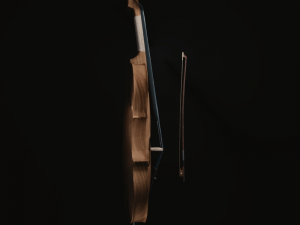 cello Modello 3D