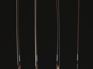 cello Modello 3D