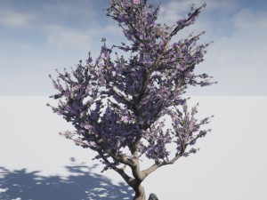 blossomed cherry tree Modelo 3D