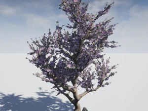 blossomed cherry tree 3D Model
