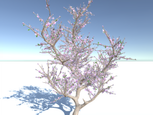 blossomed cherry tree Modelo 3D