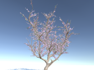 blossomed cherry tree Modelo 3D
