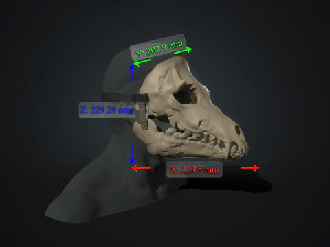 Skull mask with movable jaw 3D Print Model