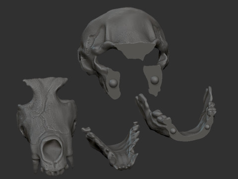 Skull mask with movable jaw 3D印刷