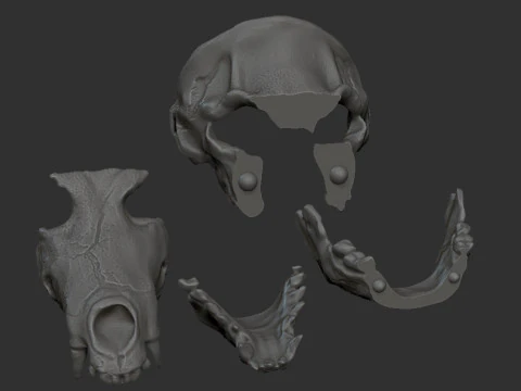 Skull mask with movable jaw 3D Print Model
