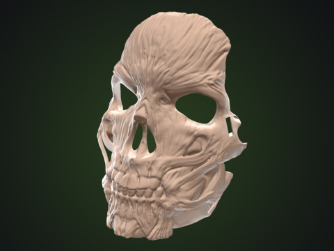 Skinned Skull Mask Impression 3D