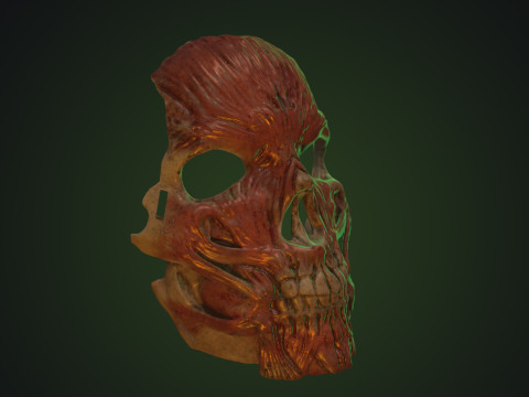 Skinned Skull Mask Impression 3D