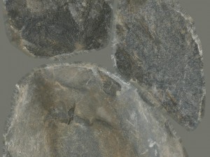 stone Model 3D