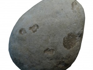 stone 3D मॉडल