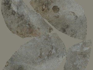stone Model 3D