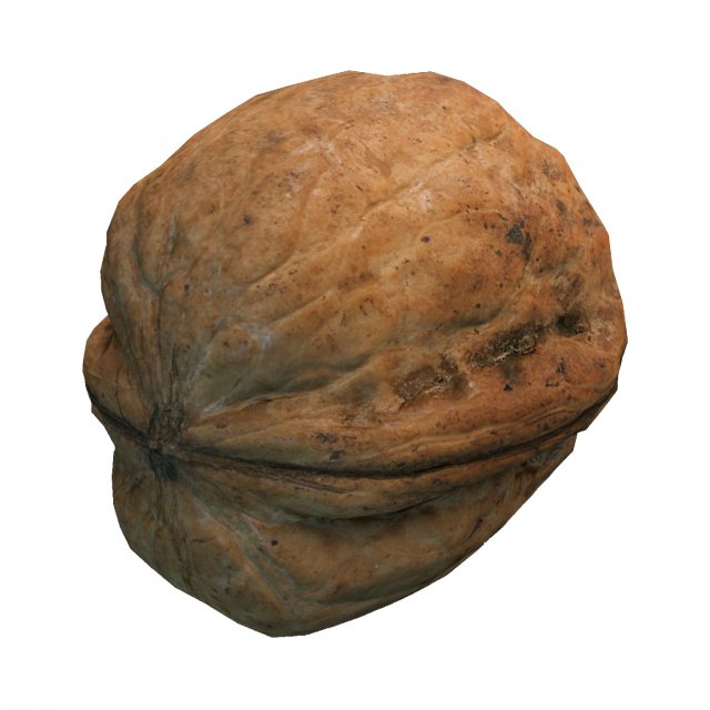 nut 3D Model .c4d .max .obj .3ds .fbx .stl .blend 