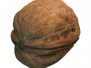 nut Modelo 3D