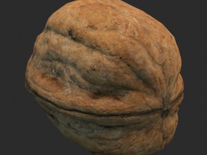 nut 3D Model