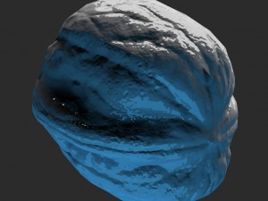 nut 3D Model