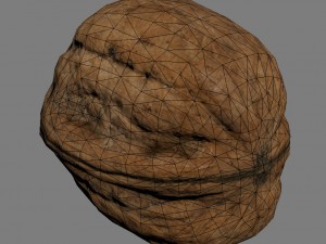 nut 3D Model