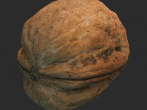 nut 3D Model