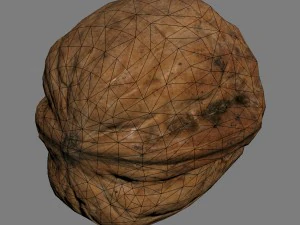 nut 3D Model