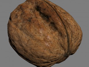 nut 3D Model