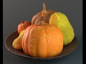 pumpkins and squashes 3D Model