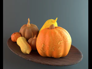 pumpkins and squashes 3D Model