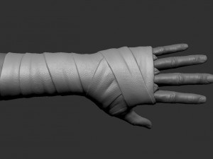 hand wrap 3D 모델