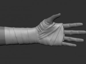 hand wrap 3D 모델