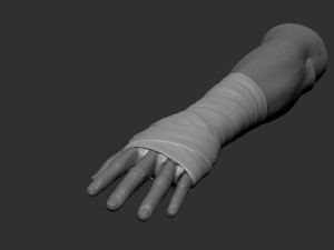 hand wrap 3D 모델