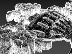 decorative element 12 3D Model