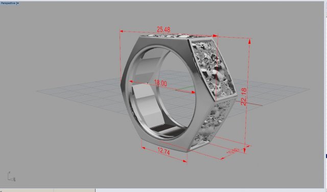 Download catacombes nut ring stl 3d model for 3d printing 3D Model